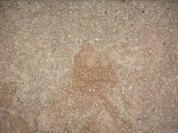 Detail of side track on Marlpit Lane after re-structuring (2nd July 2004)